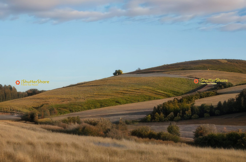 Rolling Hills Panorama