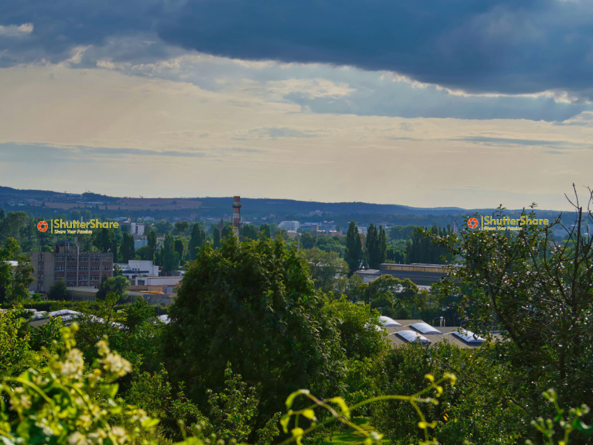 Industrial Skyline with Lush Foreground