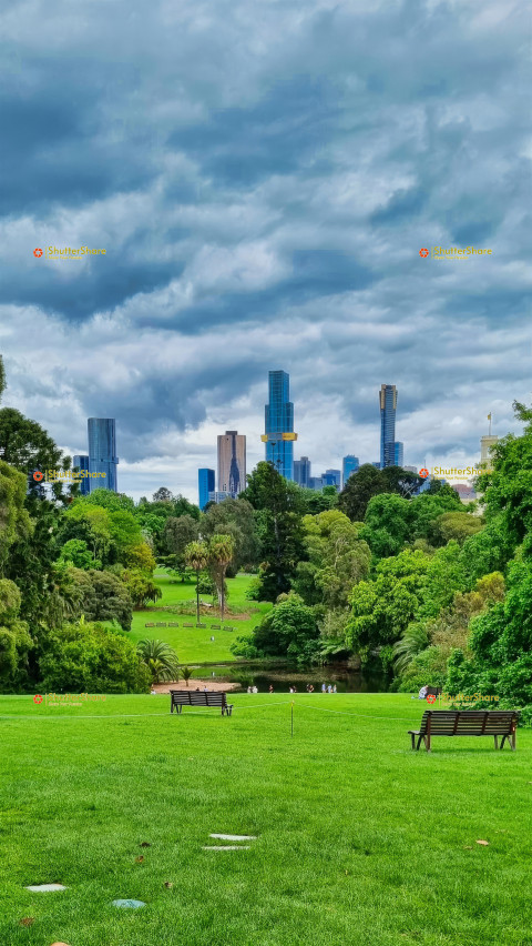 Skyline View from Melbourne Botanical Gardens